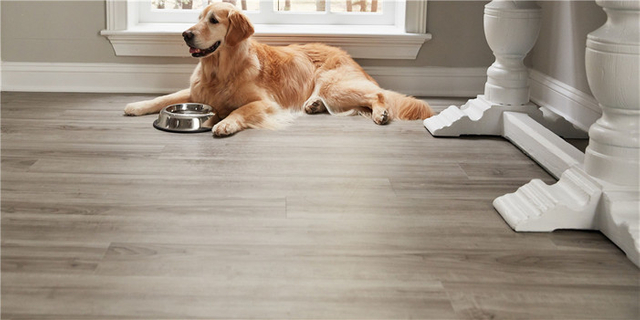 waterproof laminate flooring for pets & dogs